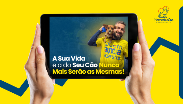 Como saber se o adestrador é bom?