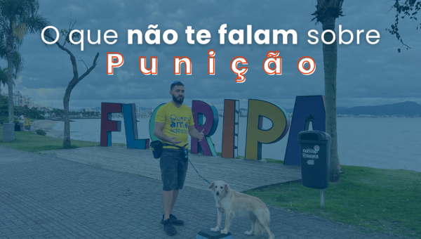 Adestramento com Punição Funciona?